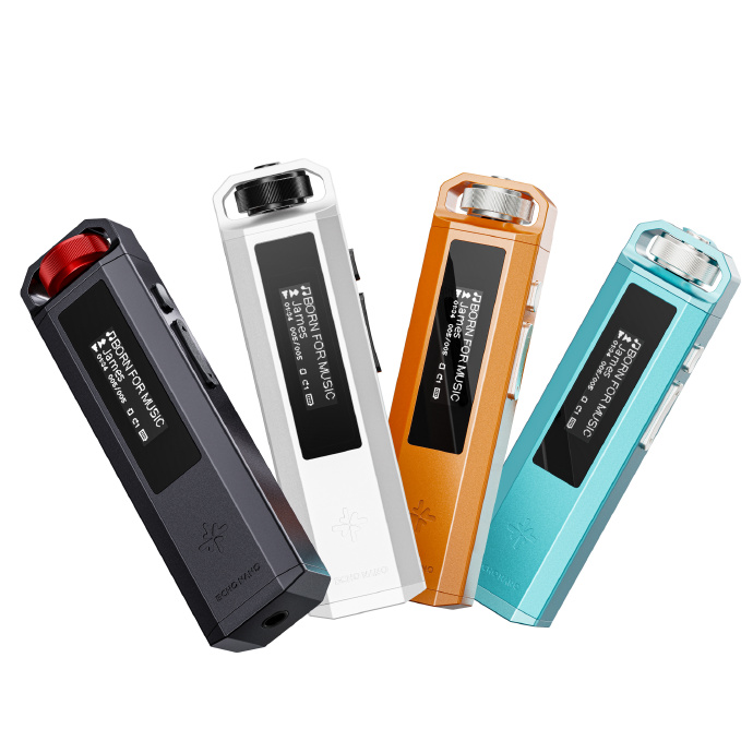 FiiO Snowsky Echo Nano