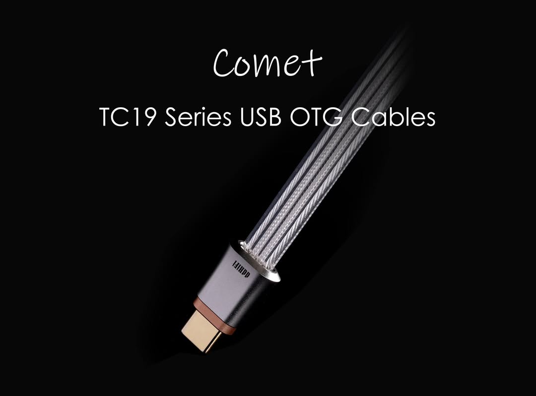 DDHIFI TC19