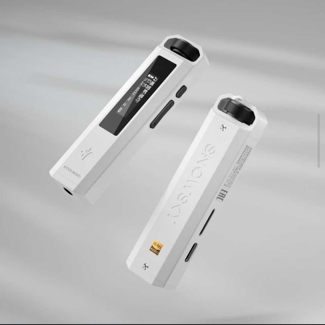 FiiO Snowsky Echo Nano