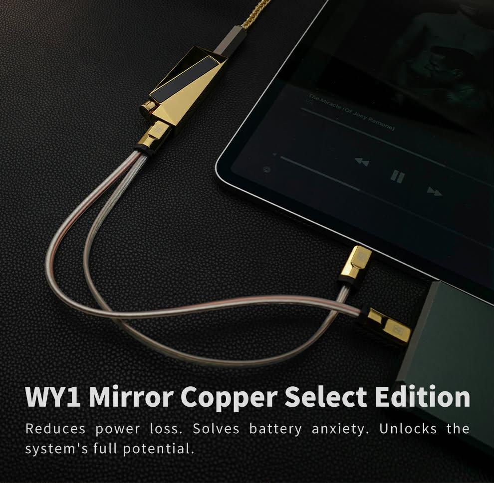 Cáp Luxury&Precision WY1
